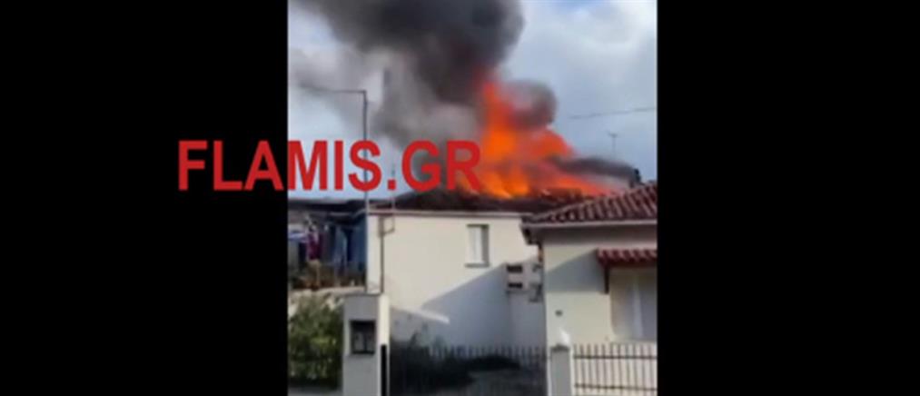 Αχαϊα: Σπίτι παραδόθηκε στις φλόγες (βίντεο)