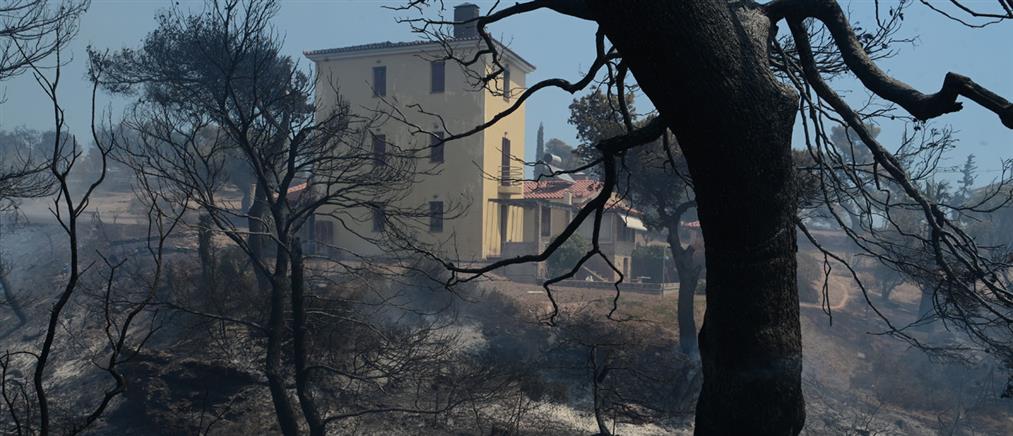 Φωτιές στην Αττική - Μαρινάκης: Απαντήσεις σε 6 ερωτήματα