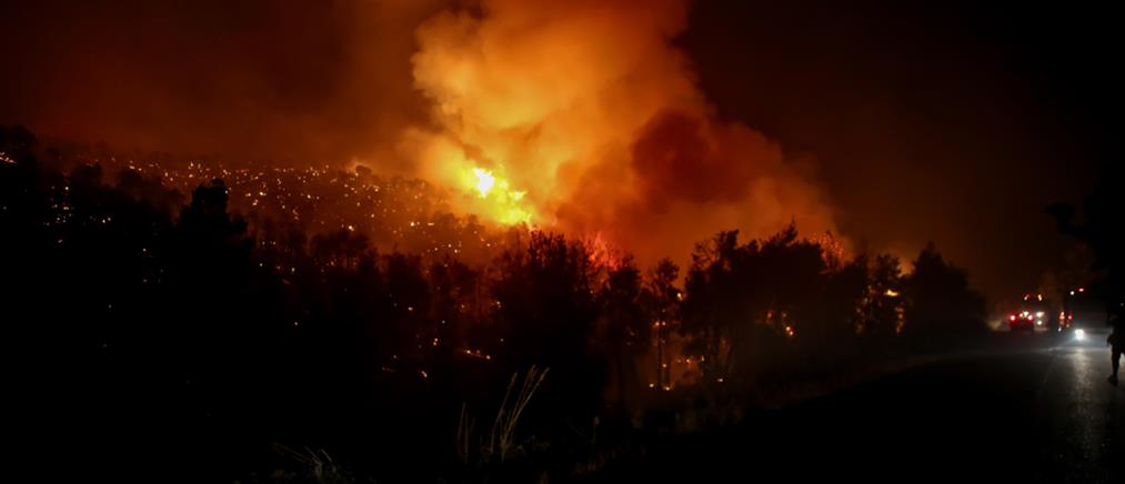 Φωτιά στην Κεφαλονιά: Μάχη της Πυροσβεστικής σε δύο μέτωπα (εικόνες)