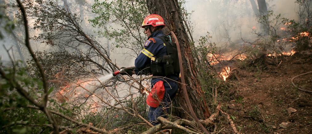 Φωτιά στην Παλλήνη: Άμεση κινητοποίηση της Πυροσβεστικής