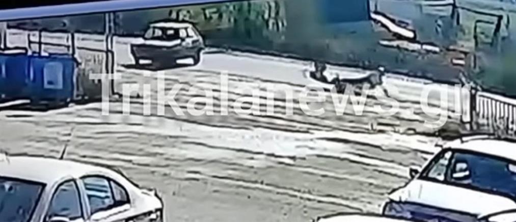 Τρίκαλα: Οδηγός “εκσφενδονίζει” δικυκλιστή και τον εγκαταλείπει (βίντεο)