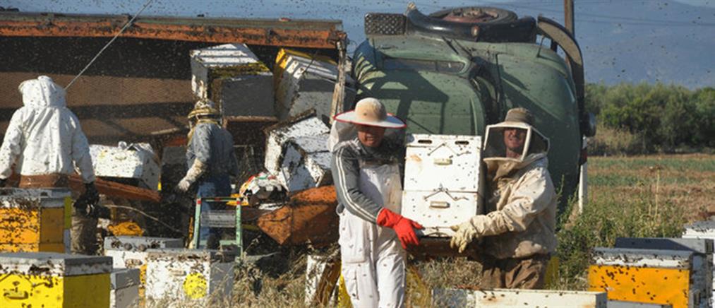 Άργος: Ανετράπη φορτηγό με κυψέλες και απελευθερώθηκαν χιλιάδες μέλισσες (φωτό & βίντεο)