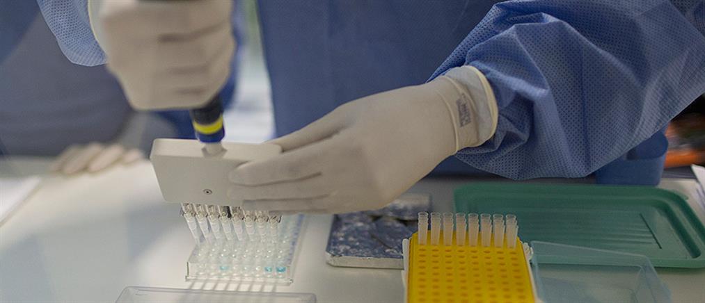 Επιβεβαιώθηκε το πρώτο κρούσμα του ιού Ζίκα στη Γαλλία