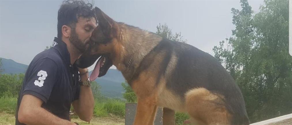 Έριξαν φόλα στον σκύλο – ήρωα του σεισμού στο Αματρίτσε (εικόνες)