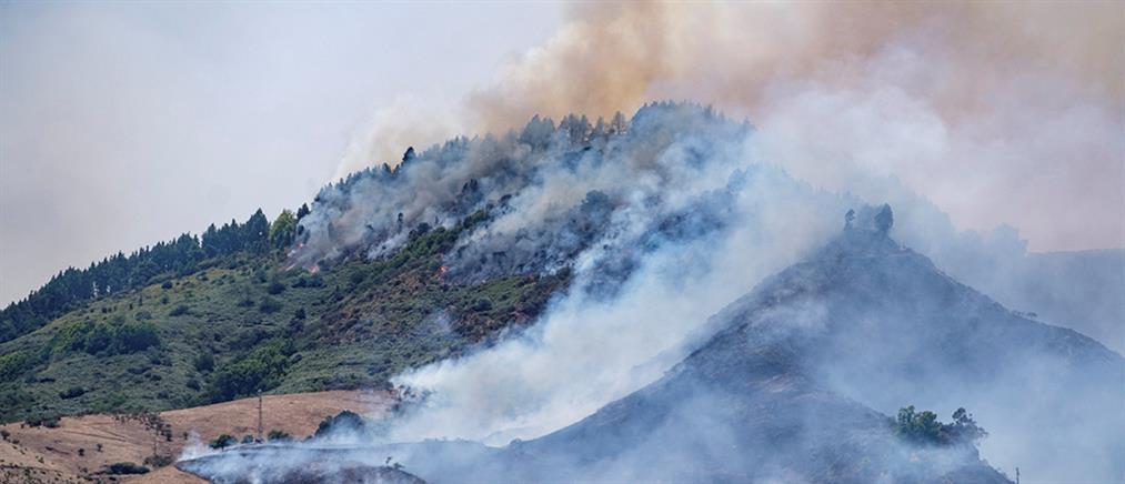 Φωτιά στην Γκραν Κανάρια: γιγαντιαία επιχείρηση εκκένωσης (εικόνες)