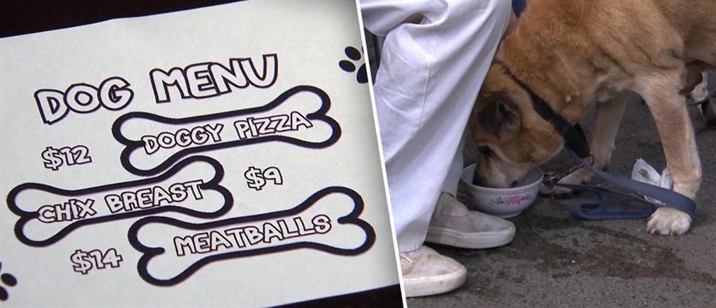 Το πρώτο εστιατόριο με σκυλίσιο μενού άνοιξε στη Νέα Υόρκη (βίντεο)