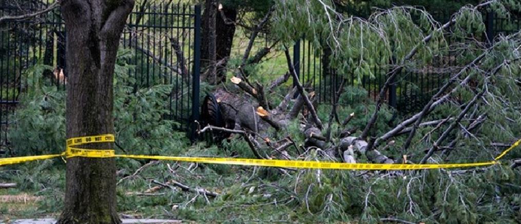 Δέντρο γκρέμισε τον φράχτη του σπιτιού του Αντιπροέδρου των ΗΠΑ (βίντεο)