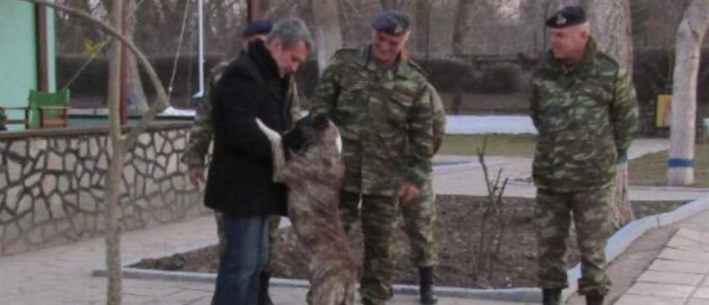 Σκύλος που κακοποιήθηκε σε τουρκικό φυλάκιο έγινε φύλακας-“άγγελος” για Έλληνες στρατιωτικούς