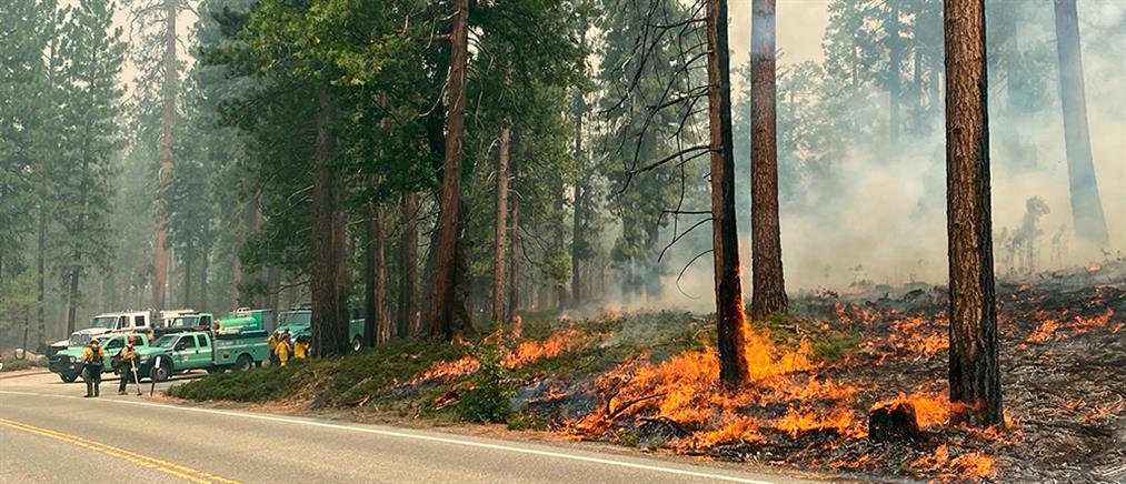 Καλιφόρνια: Ανεξέλεγκτη η φωτιά στο εθνικό πάρκο Γιοσέμιτι