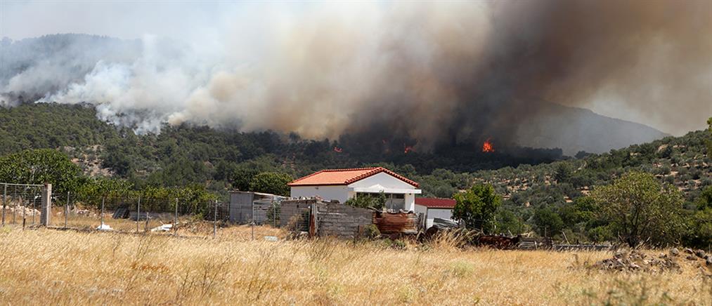 Φωτιά στη Λέσβο: Μάχη με τις αναζωπυρώσεις και εκκενώσεις χωριών (εικόνες)