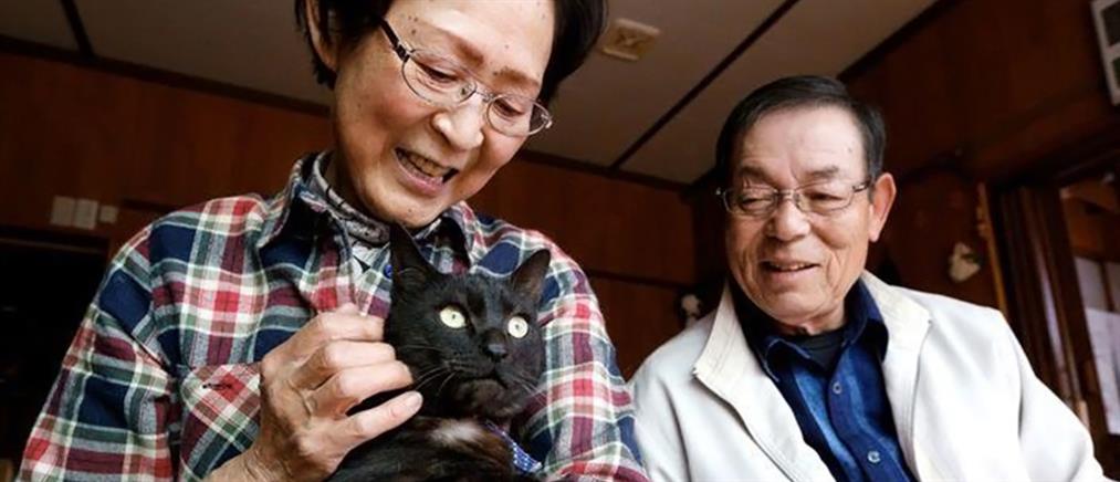 Γάτα, που χάθηκε στο τσουνάμι, γύρισε σπίτι της μετά από 3 χρόνια