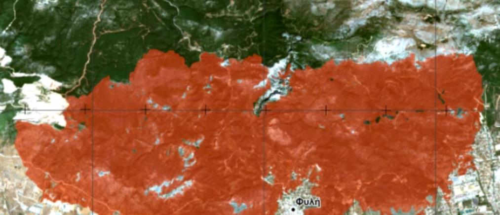 Φωτιές σε Έβρο και Πάρνηθα: Δορυφόρος δείχνει το μέγεθος της καταστροφής (εικόνες)