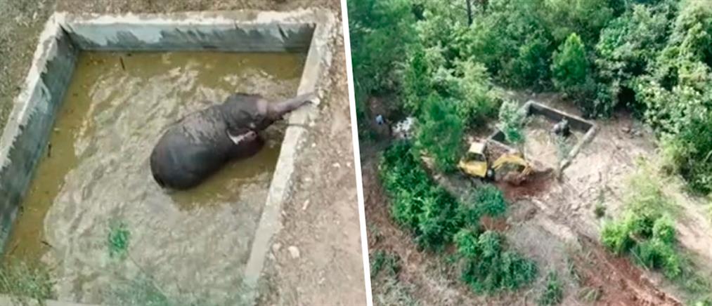 Διάσωση ελέφαντα από δεξαμενή (βίντεο)