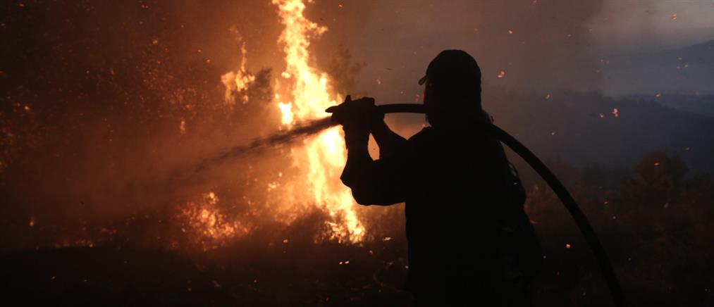 Φωτιές: Η εικόνα από Δομοκό και Σαμοθράκη 