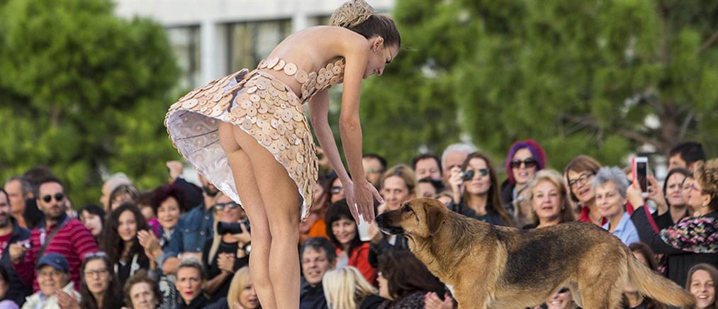 Θεσσαλονίκη: Το μοντέλο, ο σκύλος και το σέξι ατύχημα…