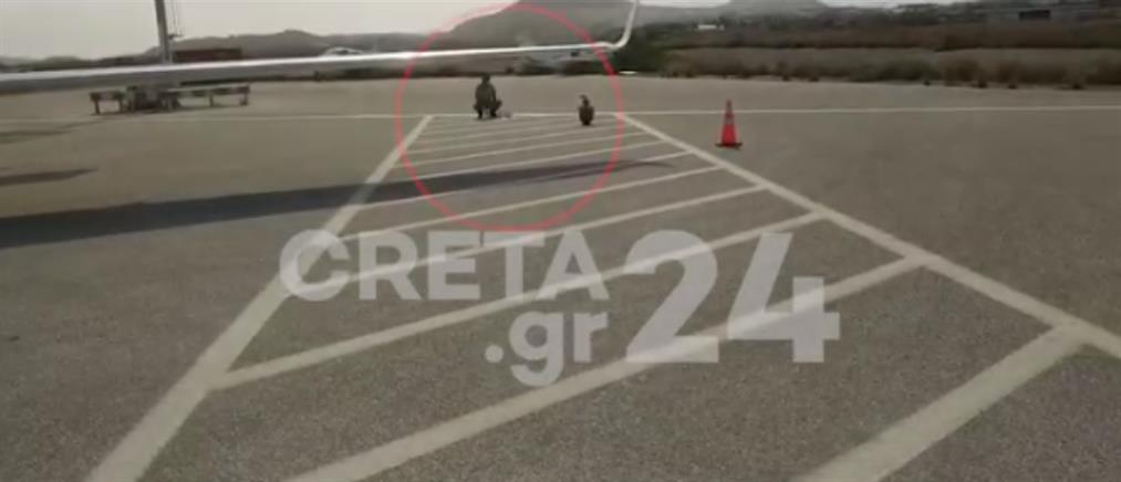 Ηράκλειο: Γύπας έκανε... στάση στο αεροδρόμιο (βίντεο)