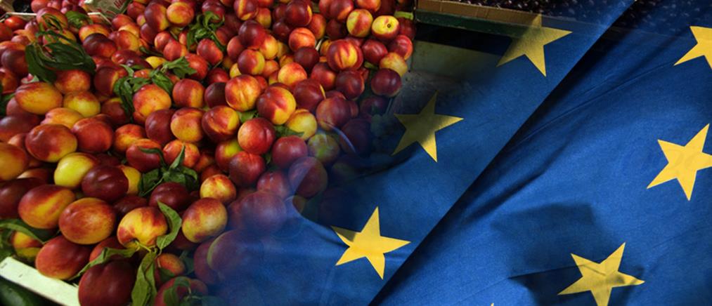 Ευρωπαϊκή λύση επιδιώκει η κυβέρνηση για τους παραγωγούς