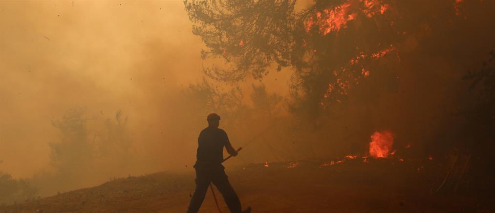 Φωτιά στην Πάρνηθα: Μάχη για να μην περάσουν οι φλόγες στον εθνικό δρυμό