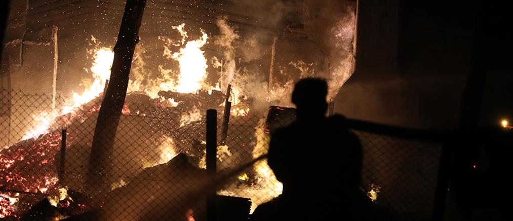Φωτιές σε Δερβενοχώρια, Μάνδρα και Λουτράκι: δύσκολη νύχτα στα πύρινα μέτωπα (εικόνες)