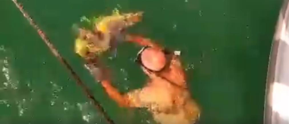 Καρέ-καρέ η διάσωση θαλάσσιας χελώνας (βίντεο)