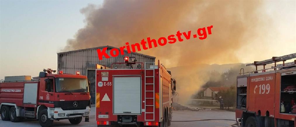 Στις φλόγες τυλίχθηκε εργοστάσιο στην Κόρινθο (βίντεο)