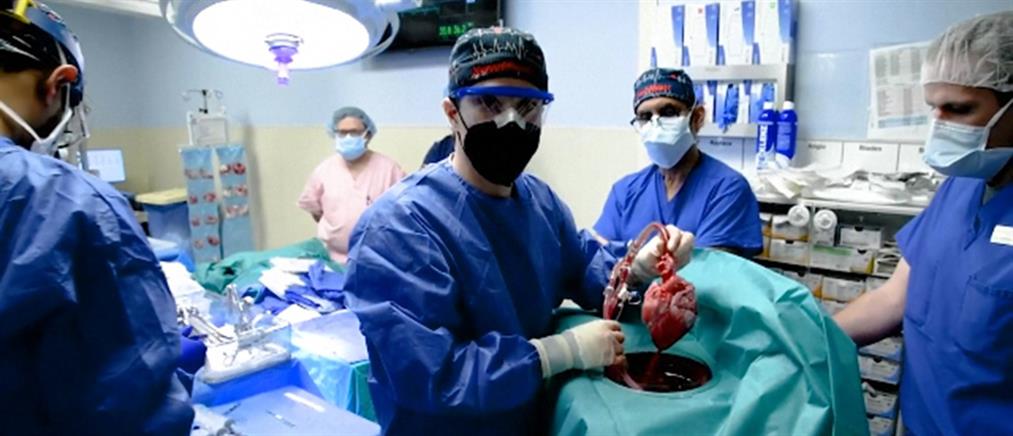 Μεταμόσχευση καρδιάς από χοίρο: Πέθανε ο πρώτος λήπτης