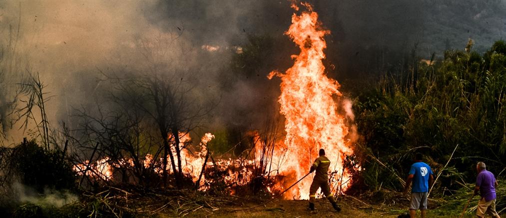 Φωτιά στην Ηλεία: Συνεχίζεται η μάχη με τις φλόγες (εικόνες)