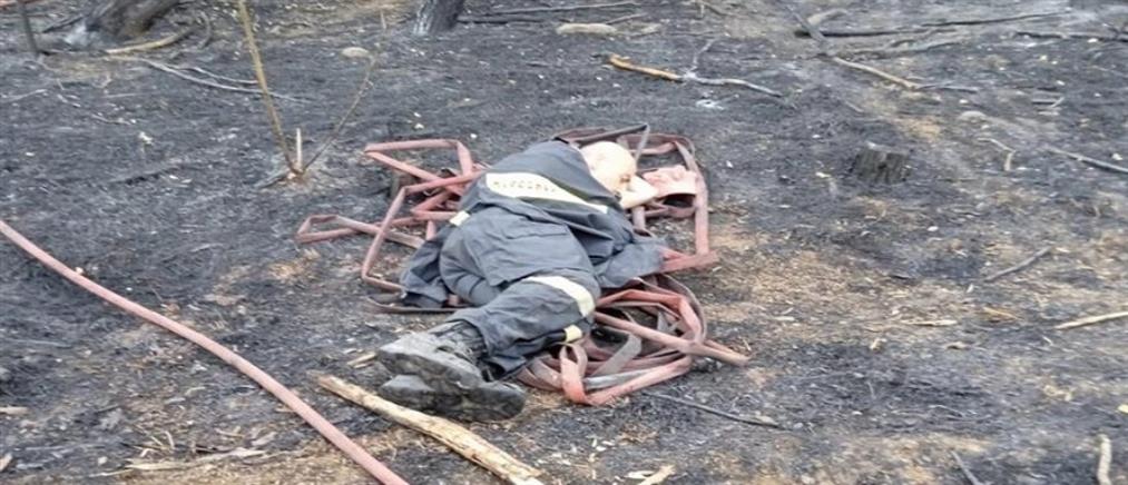 Φωτιά στον Έβρο:  Viral η φωτογραφία του πυροσβέστη που κοιμάται στην καμένη γη