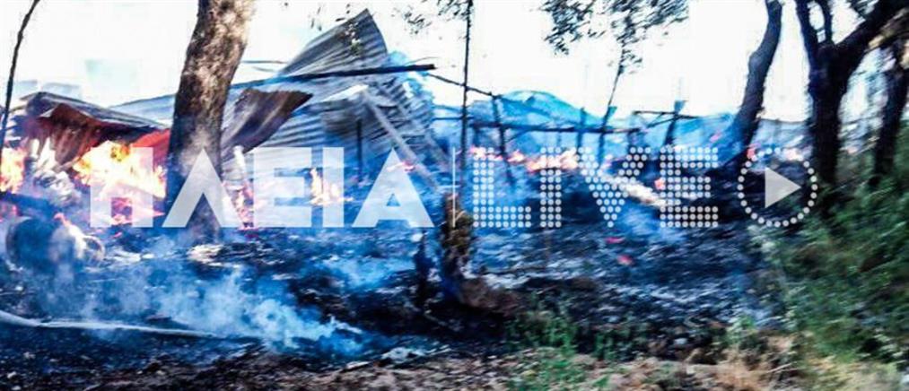 Φωτιά στη Νέα Μανωλάδα: Κάηκαν παραπήγματα μεταναστών (βίντεο)
