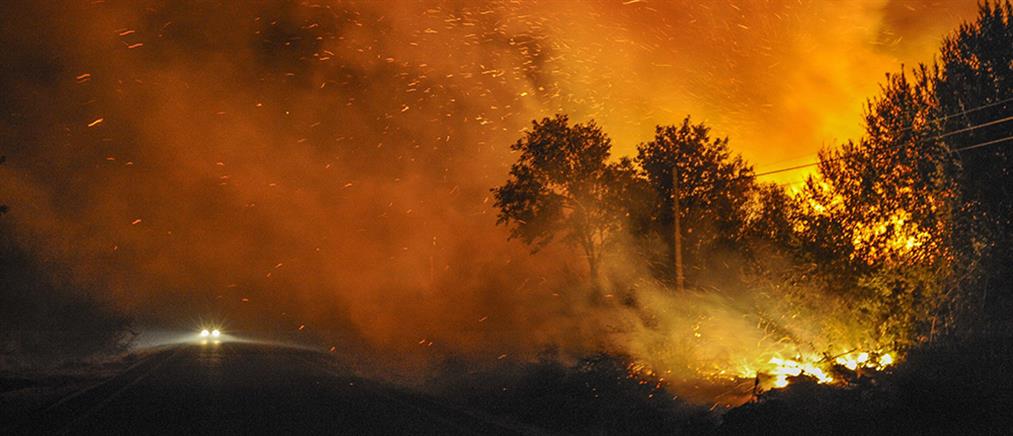 Στις φλόγες χιλιάδες στρέμματα δασικής έκτασης στη Γαλικία