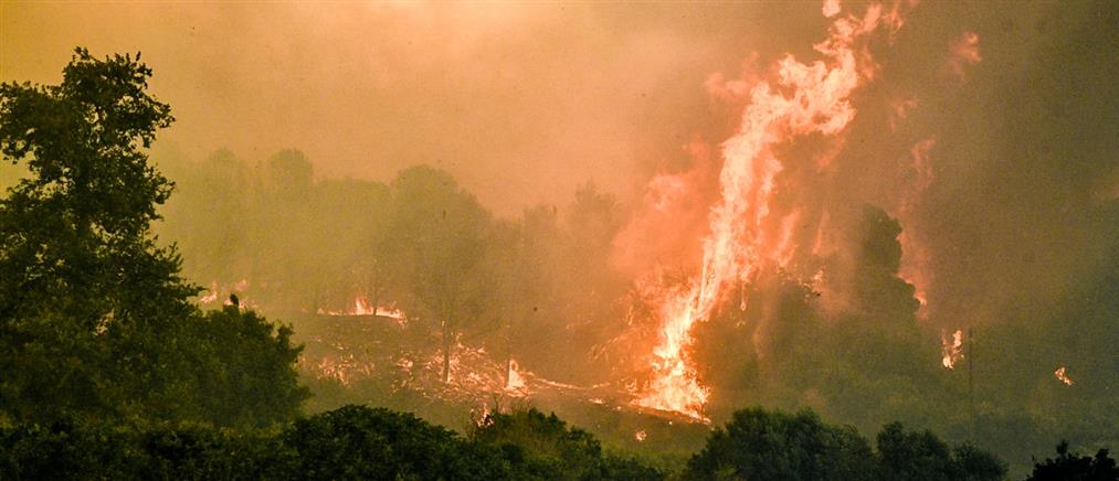 Πυροσβεστική: 38 αγροτοδασικές πυρκαγιές διαχειρίστηκε το τελευταίο 24ωρο