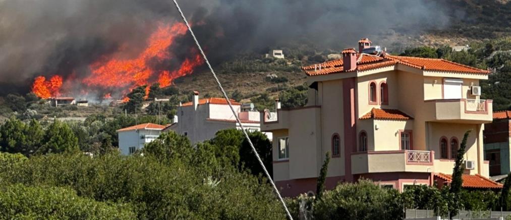 Φωτιά στον Κουβαρά: Εκτός ελέγχου το μέτωπο - Μηνύματα για εκκενώσεις (εικόνες)