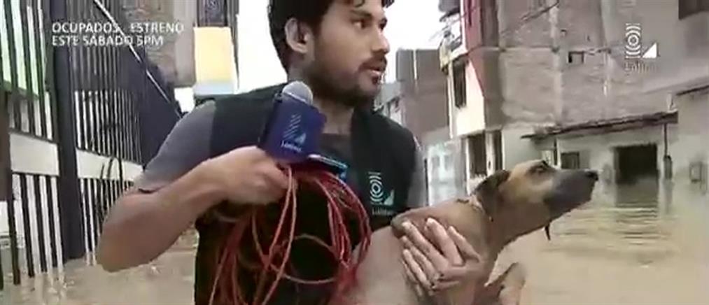 Δημοσιογράφος σταμάτησε τη ζωντανή σύνδεση για να σώσει σκυλάκι από πνιγμό (βίντεο)
