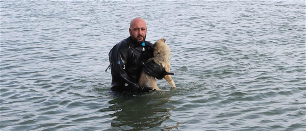 Διάσωση σκύλου από παγωμένη λίμνη (βίντεο)