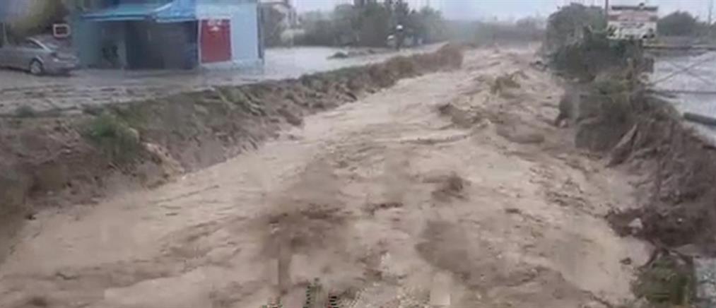 Νεκρός οδηγός σε πλημμυρισμένο δρόμο στο Βραχάτι (βίντεο)
