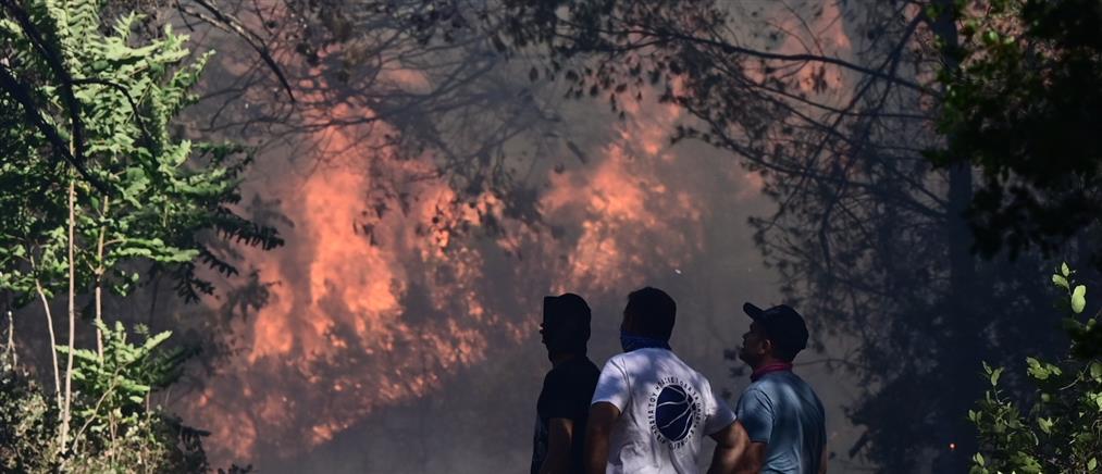 Φωτιά: Πολύ υψηλός κίνδυνος σε 6 Περιφέρειες την Παρασκευή (χάρτης)