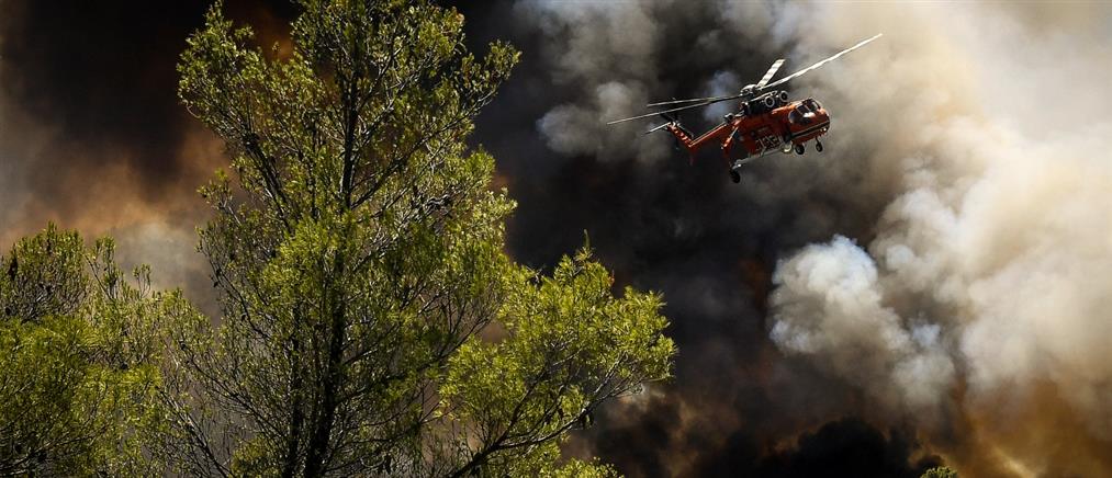 Φωτιές: Πολύ υψηλός κίνδυνος σε 7 περιφέρειες την Πέμπτη (χάρτης)
