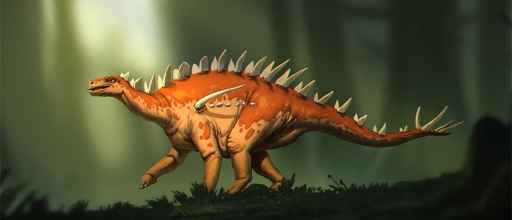 Μπασανόσαυρος: Ανακαλύφθηκε ο αρχαιότερος στεγόσαυρος στη Γη