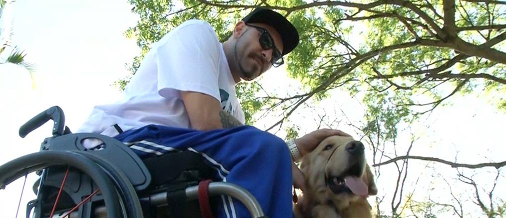 Εκπαιδεύουν σκυλιά για ανθρώπους με αναπηρία στη Βραζιλία