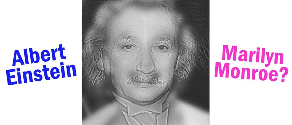 Εσύ τι βλέπεις; Τον Άλμπερτ Αϊνστάιν ή τη Μέριλιν Μονρό;
