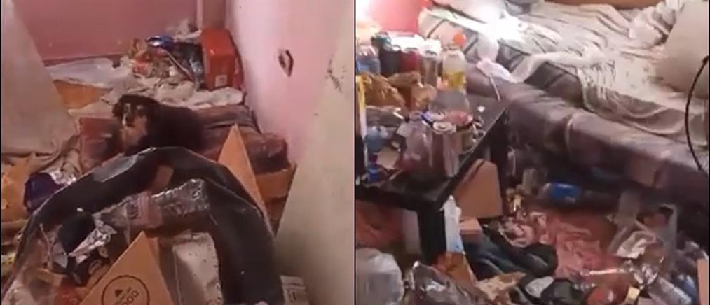 Θεσσαλονίκη: Σκυλιά ζούσαν σε διαμέρισμα τρώγλη - Συνελήφθη ο ιδιοκτήτης (εικόνες)