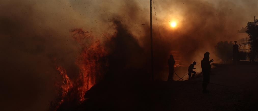 Πυρκαγιές σε Δερβενοχώρια, Λουτράκι, Σαρωνίδα: ολονύχτια μάχη με τις φλόγες (εικόνες)