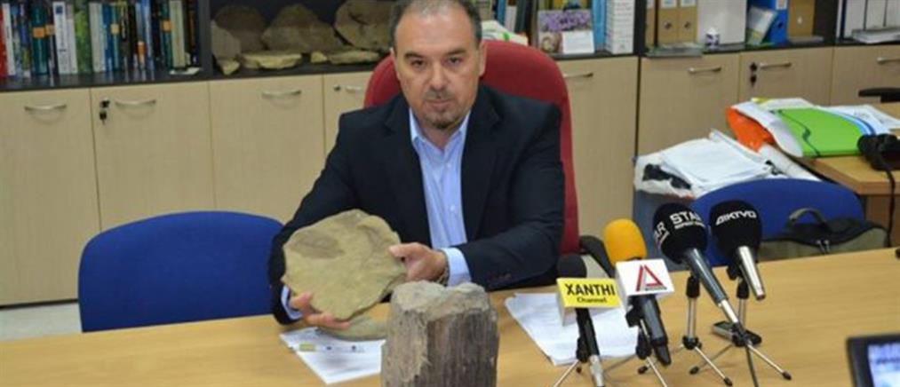 Μοναδικό για τα ελληνικά δεδομένα απολιθωμένο δάσος βρέθηκε στη Ροδόπη