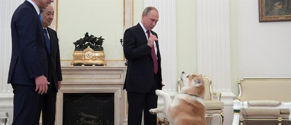 Ο σκύλος του Πούτιν “απείλησε” δημοσιογράφους  (βίντεο)