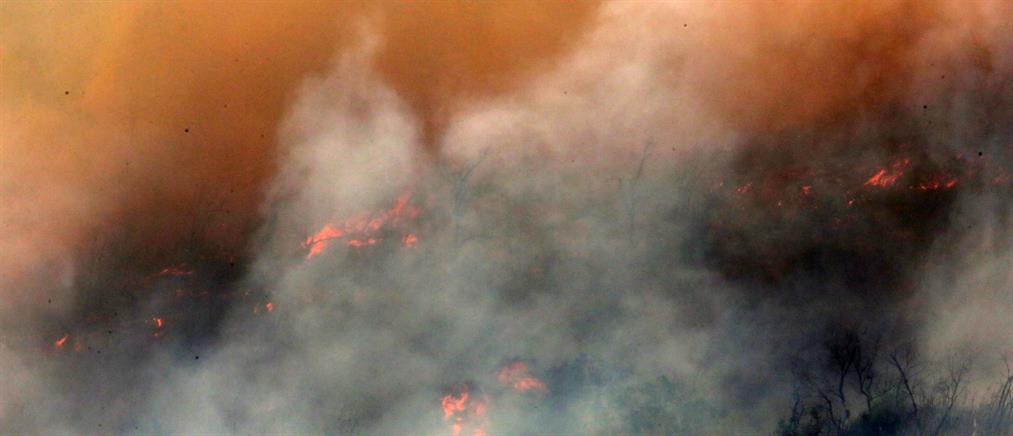 Φωτιά στην Αλεξανδρούπολη: απανθρακωμένες σοροί στη Δαδιά και εκκενώσεις οικισμών (εικόνες)