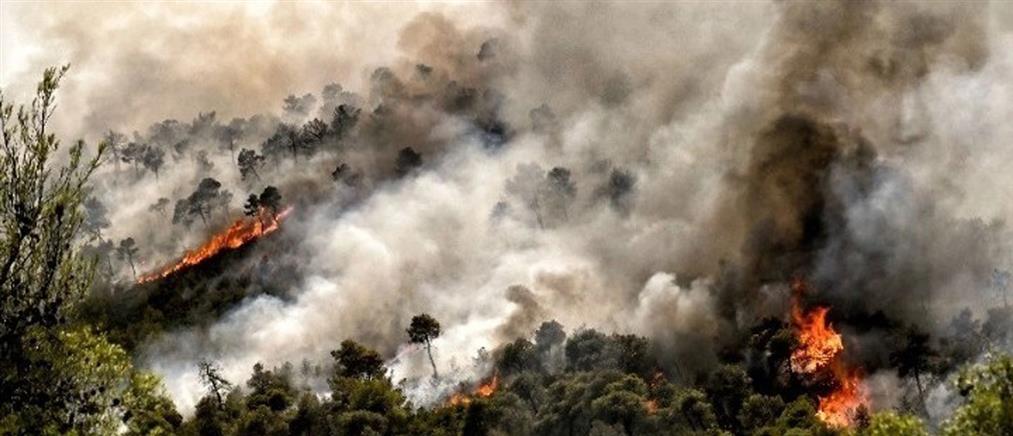 Καβάλα: Η φωτιά στο Παγγαίο καίει για τρίτη μέρα