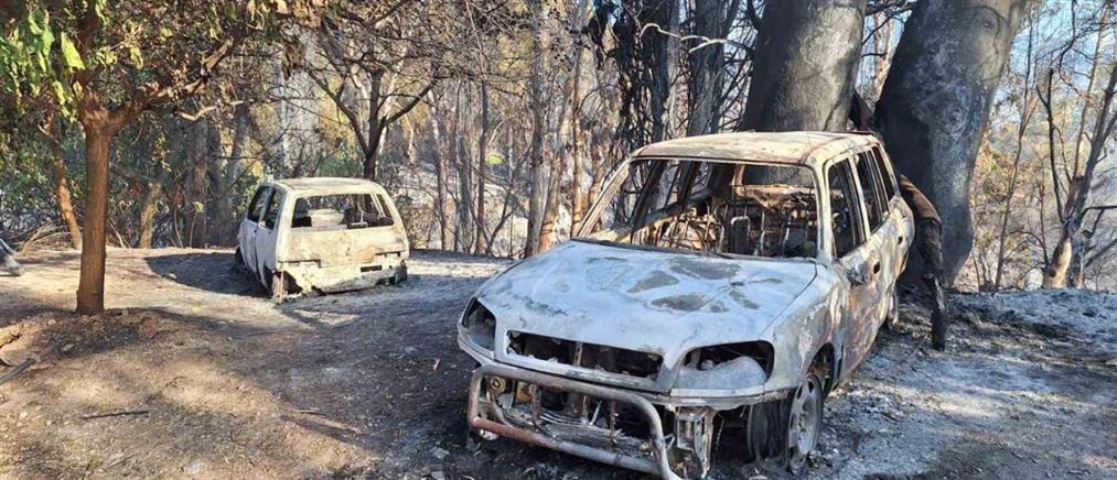 Φωτιά στην Πάτρα: Διάσπαρτες εστίες σε γειτονιές - Εκκενώθηκαν νοσοκομείο και ιδρύματα (εικόνες)