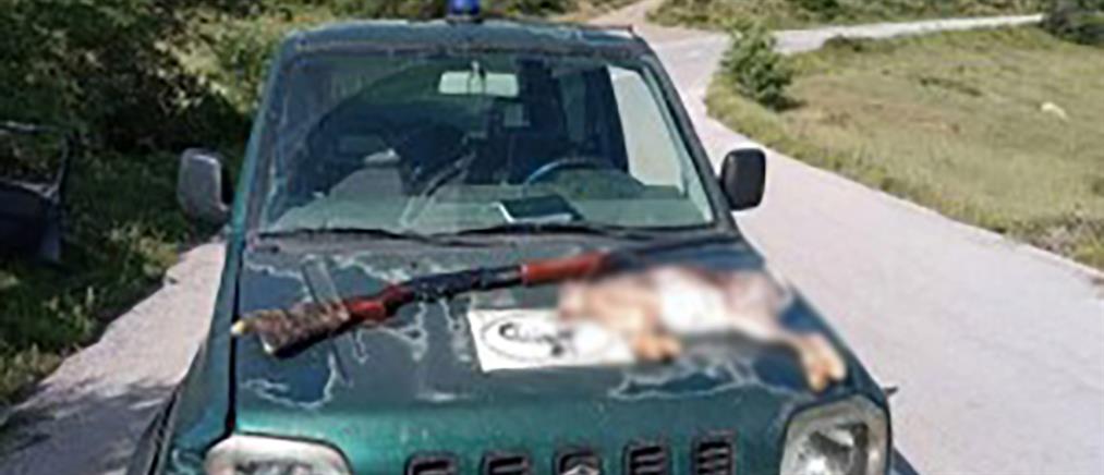 Παράνομος κυνηγός εμβόλισε αυτοκίνητο θηροφύλακα (εικόνες)