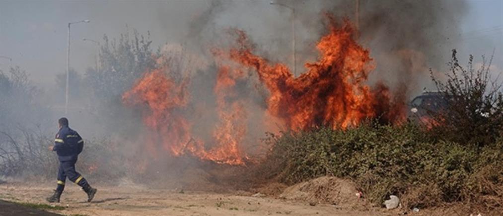 Φωτιά στο Κιλκίς σε βιομηχανική περιοχή (βίντεο)