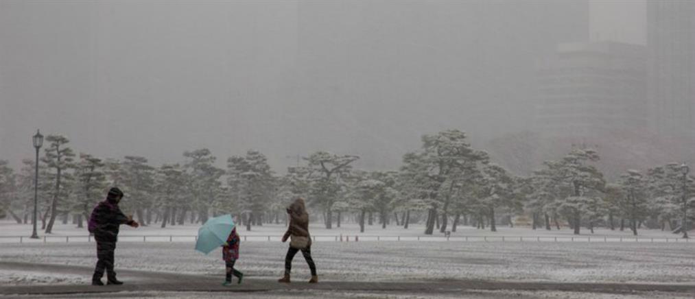 Σφοδρή χιονοθύελλα έπληξε την Ιαπωνία (βίντεο)